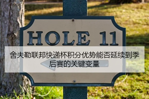 舍夫勒联邦快递杯积分优势能否延续到季后赛的关键变量